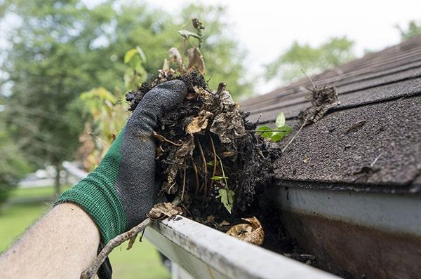 the recommended time of year for gutter cleaning is during the spring and fall seasons